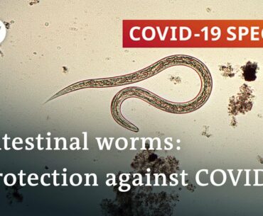 Coronavirus: Are parasitic worms responsible for low fatality rates in Africa? | COVID-19 Special