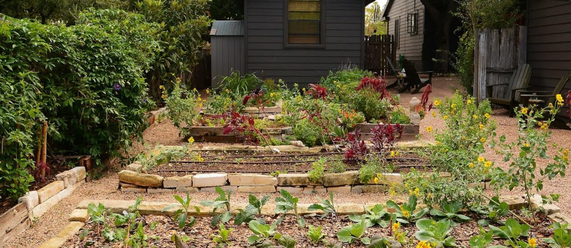 Growing Wellness in a Garden | Meredith Thomas | Central Texas Gardener