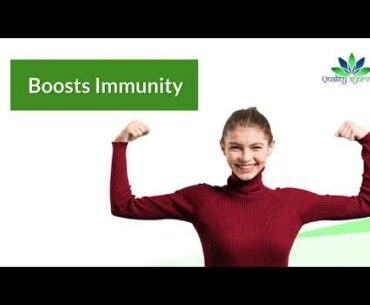 Natural Immunity Booster | Wheat Grass | Wheat Grass Capsules | Energy Booster