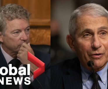 Coronavirus: Fauci spars with Sen. Rand Paul over New York COVID-19 death rate