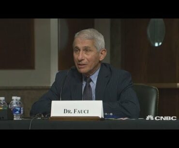 Dr. Anthony Fauci pushes back on Sen. Rand Paul's claim that New York has achieved herd immunity