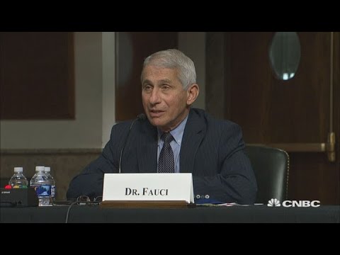 Dr. Anthony Fauci pushes back on Sen. Rand Paul's claim that New York has achieved herd immunity