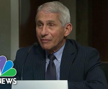 Fauci Challenges GOP Senator In Heated Exchange Over Herd Immunity | NBC News NOW