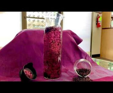 Watch the Beauty of our Organic Hibiscus Tea Brewing