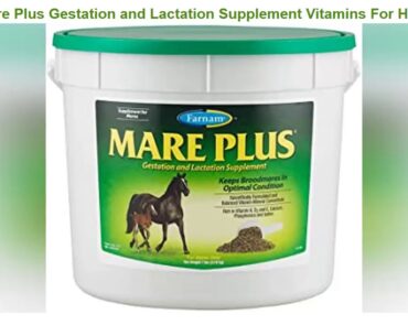 review Farnam Mare Plus Gestation and Lactation Supplement Vitamins For Horses 7lbs