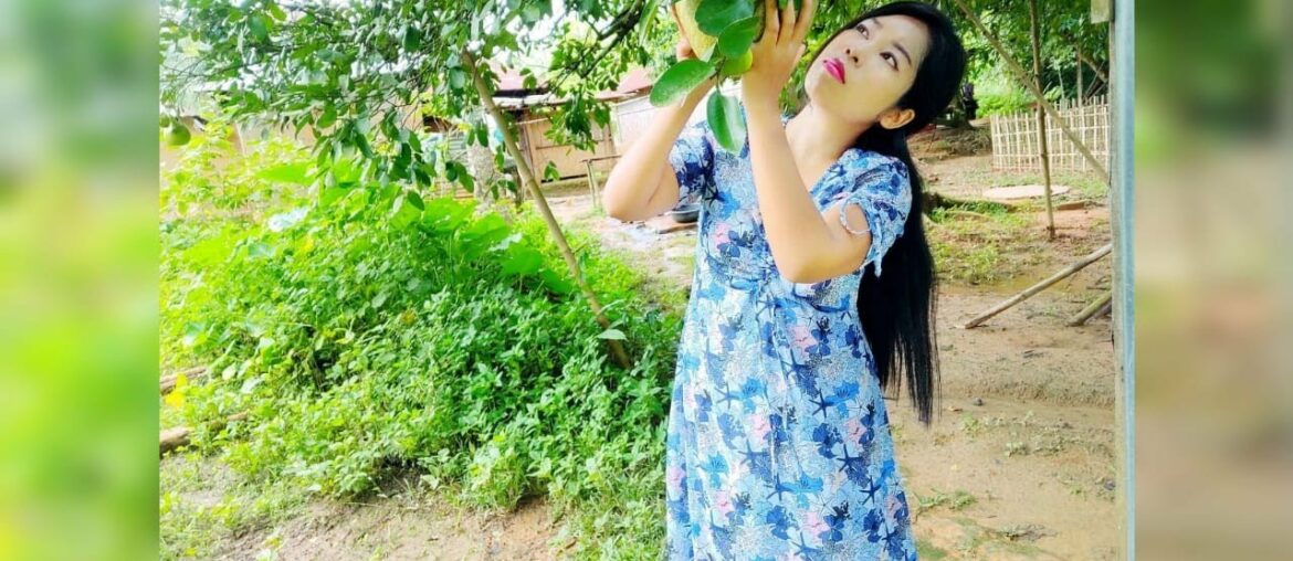 Picking Pomelo(jamra) in my village || it's recipe & lots of  health benefits|| #pomelofruit