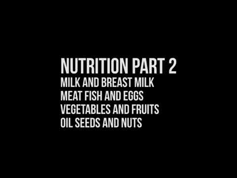 Y1S2 Biochemistry Nutrition Part 2 Milk, Meat, Oil Seeds, Vegetables and Fruits