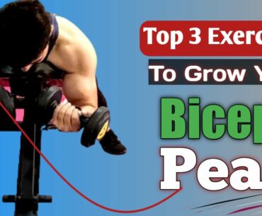 Biceps Peak Workout | Top 3 Bicep Exercises | Biceps Peaks 3 Best ways to build Them!