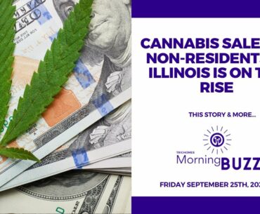 CANNABIS SALES TO NON RESIDENTS IN ILLINOIS IS ON THE RISE | TRICHOMES Morning Buzz