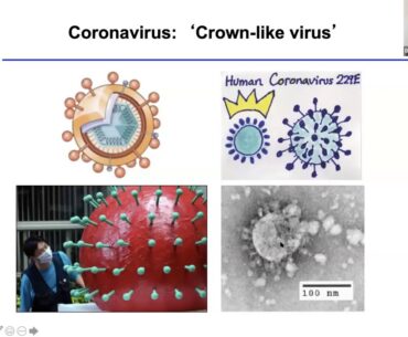 Emerging infectious diseases and COVID-19 transmission - August 18, 2020 (session 2)