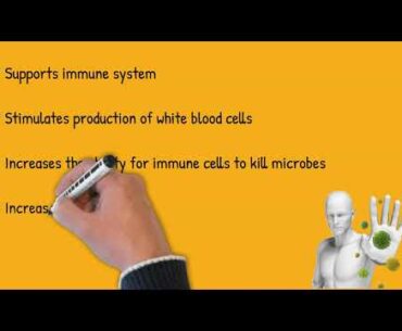 Vitamin C Basics (Pure Immuno-C)