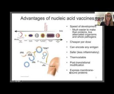Self Amplifying mRNA vaccine for COVID 19 Dr. Anna Blakney Imperial College  May 2020