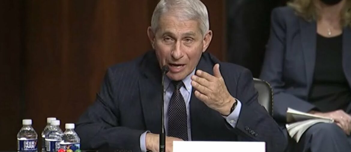 Watch Rand Paul and Anthony Fauci’s testy exchange on coronavirus lockdowns