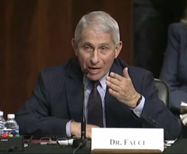 Watch Rand Paul and Anthony Fauci’s testy exchange on coronavirus lockdowns