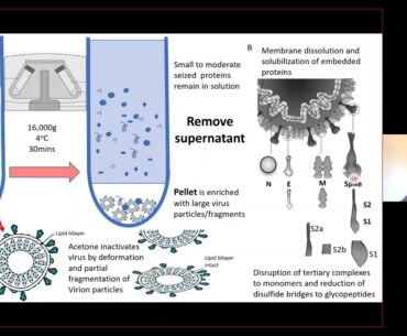 Prof Ray Krus Iles - part of the LPDG CoVID-19: What role can proteomics play? Series