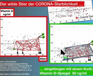 Den "wilden Stier" der CORONA-Sterblichkeit kann man einfangen!