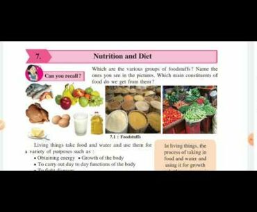 7: Nutrition and Diat, Lec. 1, Types of Nutrients, Class 6, Science, Maharashtra board, English