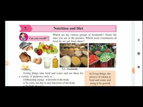 7: Nutrition and Diat, Lec. 1, Types of Nutrients, Class 6, Science, Maharashtra board, English