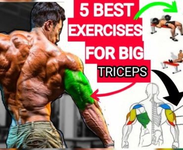 5 Best Exercises for Big Triceps #WeRstrongArpanWorkout #Best #triceps #Exercise #Fitness #HugeArms