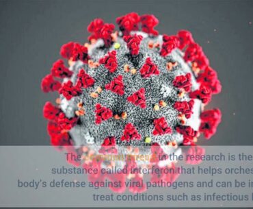 Covid-19 scientists flag key immune function as a turning point in life threatening cases