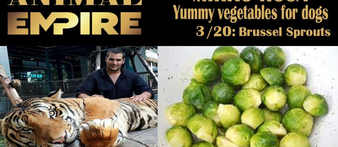 dog food / vegetables for dog / Brussels sprouts / animal empire