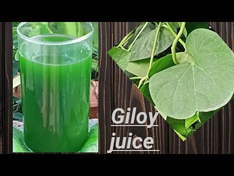 Giloy juice |Helps to increase platelets counts & boost immune system | Covid-19