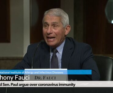 Dr. Fauci and Sen. Paul argue over coronavirus immunity