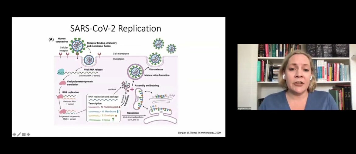 Dr. Angela Rasmussen: Demystifying COVID-19. The Science of SARS-CoV-2  Part 1