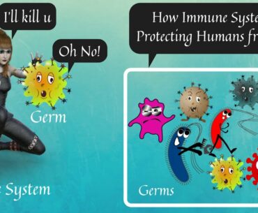 How Our Immune System Works (Innate and Adaptive Immunity)?