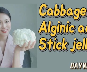 Cabbage alginic acid stick jelly! (Delicious Healthy Snacks&Korea Health Supplement)