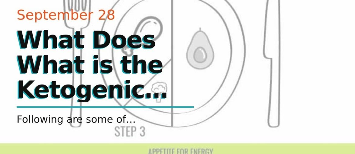 What Does What is the Ketogenic Diet - Academy of Nutrition and Dietetics Mean?
