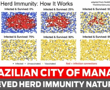 Covid-19: Brazilian city of Manaus achieved herd immunity naturally