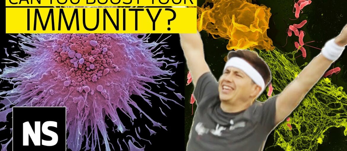 The immune system: how to boost your immunity to infection | Science with Sam