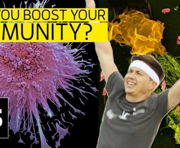 The immune system: how to boost your immunity to infection | Science with Sam