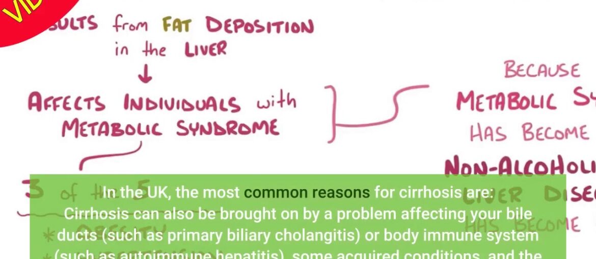 Effect of Vitamin E or Metformin for Treatment of Nonalcoholic Fundamentals Explained