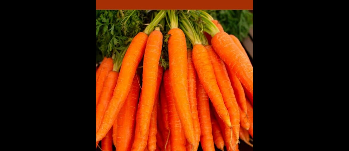 Carrots. The Superfood You should  Eat Everyday for Good Health, Stronger Body & Long Life.