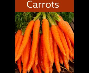 Carrots. The Superfood You should  Eat Everyday for Good Health, Stronger Body & Long Life.