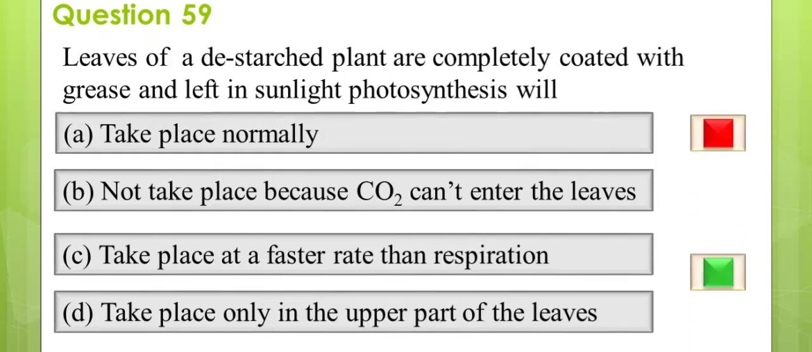 Nutrition Questions and Answers   Part two