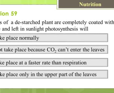 Nutrition Questions and Answers   Part two