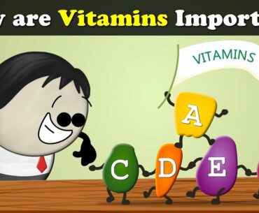 Why are Vitamins Important? | #aumsum #kids #science #education #children