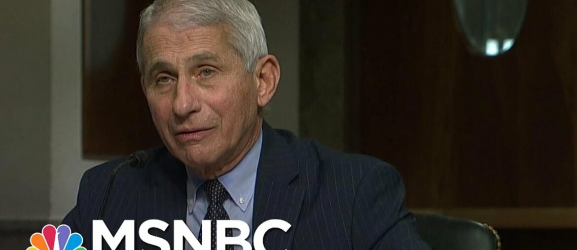 Fauci 'Cautiously Optimistic' There Will Be A Safe And Effective Coronavirus Vaccine | MSNBC