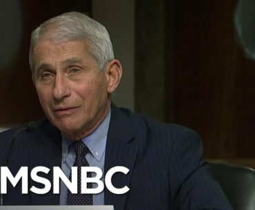 Fauci 'Cautiously Optimistic' There Will Be A Safe And Effective Coronavirus Vaccine | MSNBC