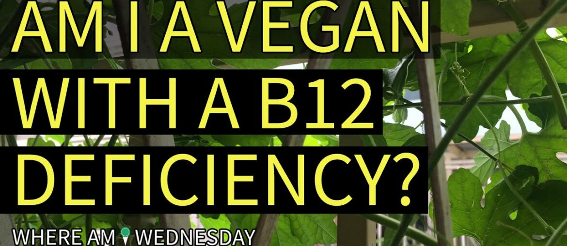 Am I A Vegan With A B12 Deficiency? | Where Am I Wednesday | Episode 216