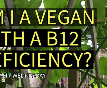 Am I A Vegan With A B12 Deficiency? | Where Am I Wednesday | Episode 216