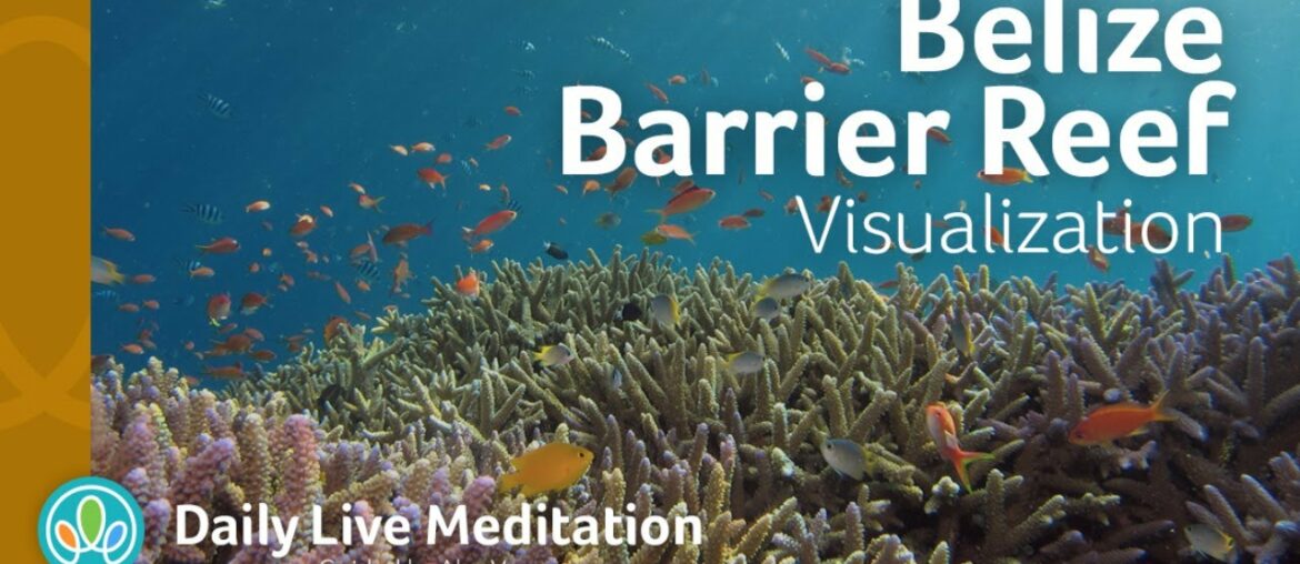 #189 Belize Barrier Reef Visualization Meditation | Have Some Vitamin Sea | Guided Live Meditation