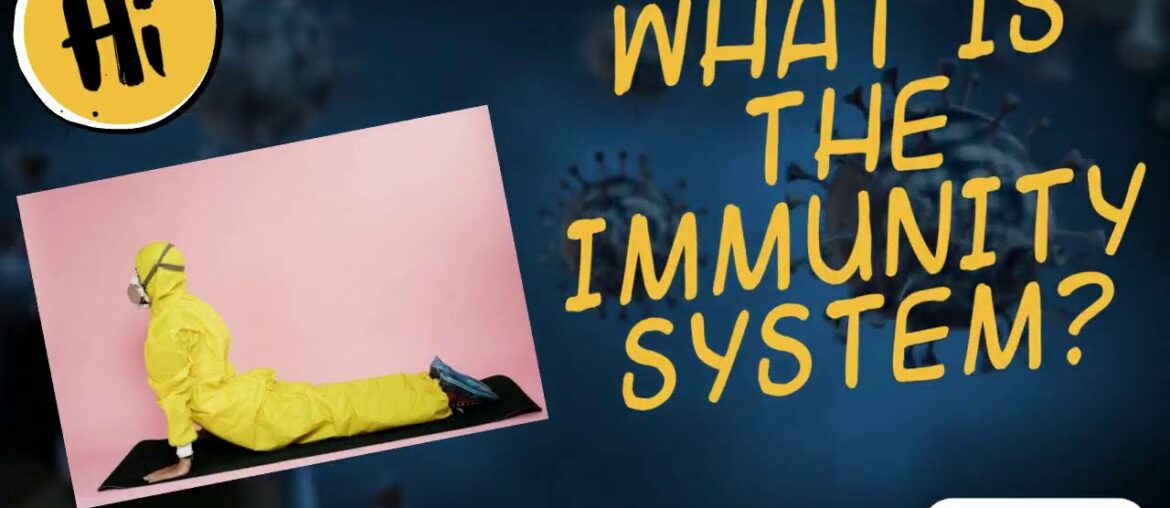 What is the immunity system?