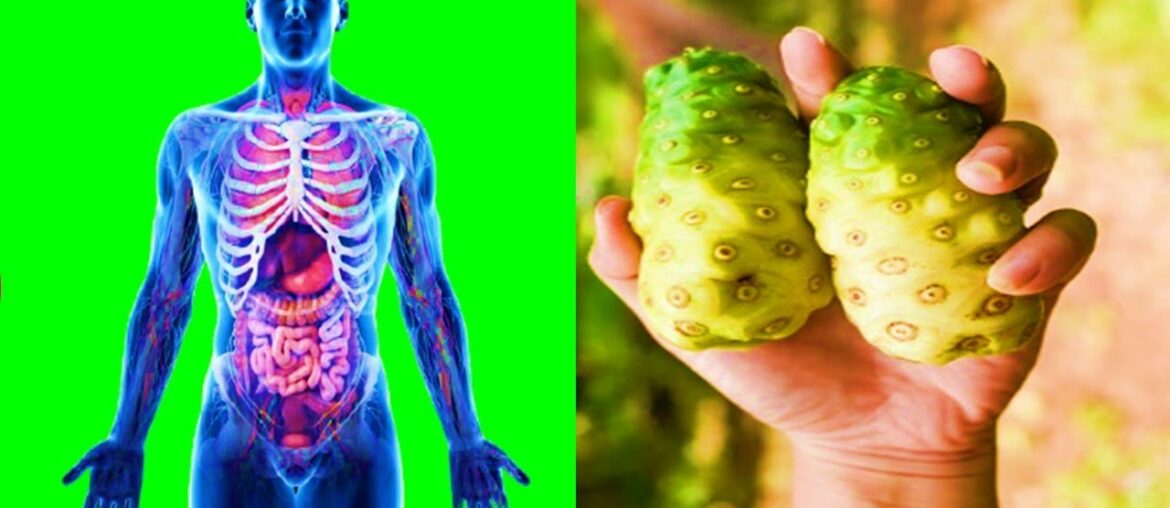 What happen to your body if you drink Noni Juice