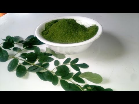 Moringa Powder: How to make moringa powder for weight loss, belly fat, Immune boosting tea/Benefits
