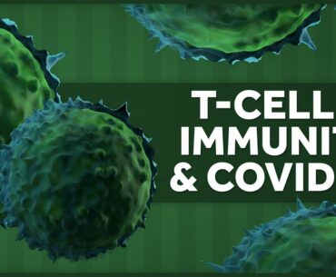 The Immune System, T-Cells, and Covid-19