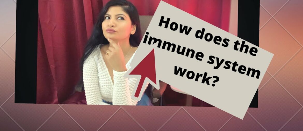 How does the immune system work?